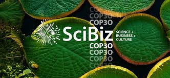 Universidade de São Paulo